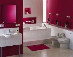 Hot Pink Bathroom Interior Design Photos