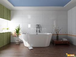 Modern Bathroom with a Tub Interior Design Photos