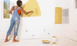 A girl doing paint on a interior wall Interior Design Photos
