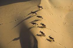Desert - View Moroccan sand