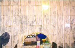 Kitchen service open with Bamboo tile wall cladding Interior Design Photos