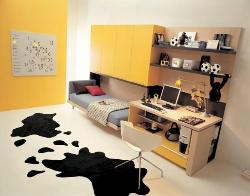Spaces for Teenagers Interior Design Photos