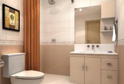 washroom idea Interior Design Photos