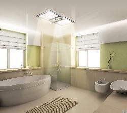 green spacious bathroom Interior Design Photos